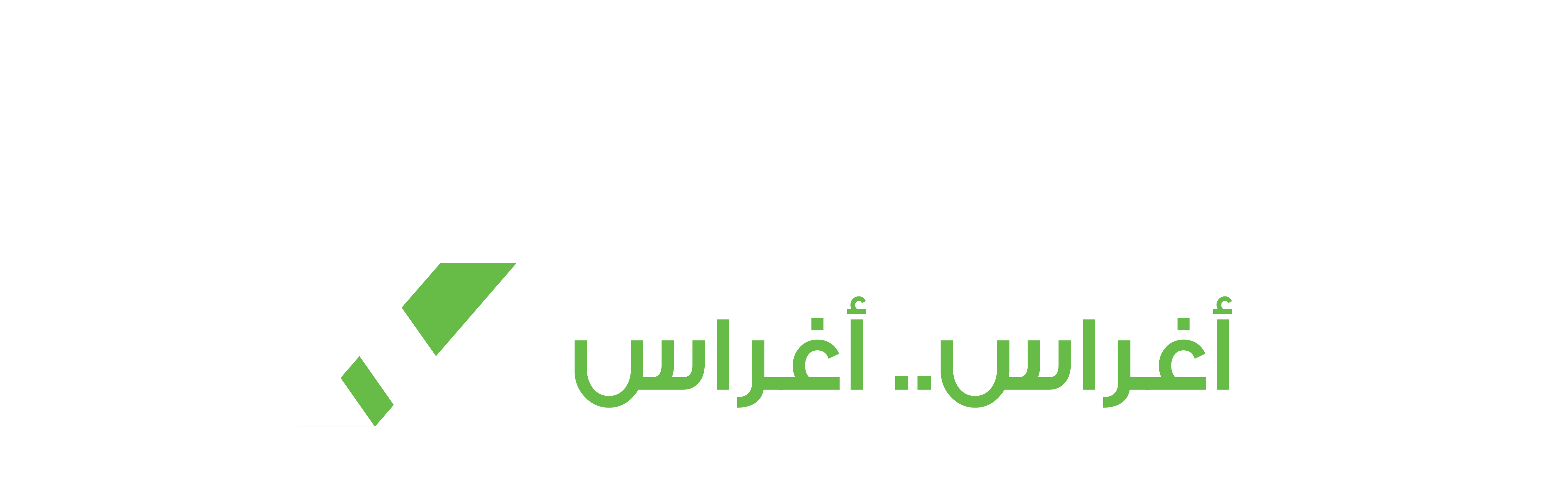 RaitheXpress - Livraison e-commerce au Maroc